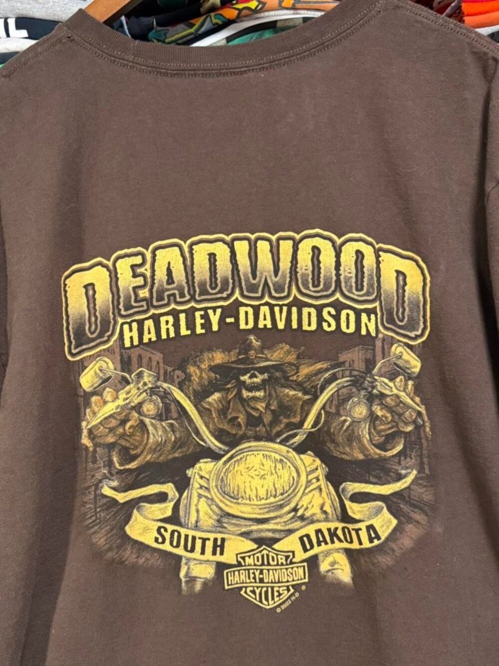 Harley Davidson deadwood South Dakota brown t shirt